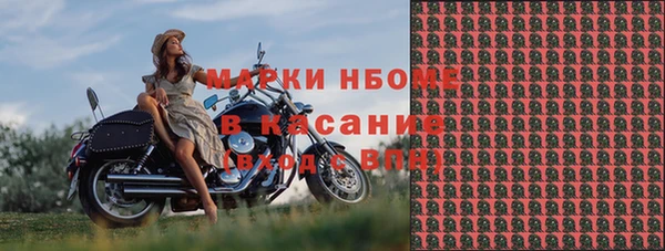прущие грибы Валдай