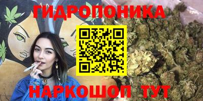 спиды Бийск