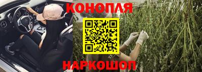 спиды Бийск