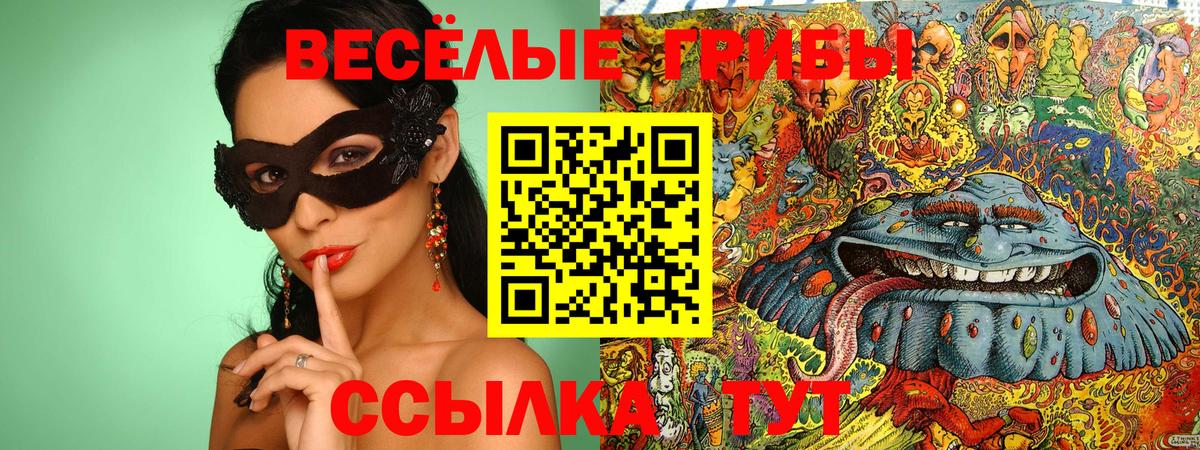 Шарыпово  Галлюциногенные грибы GOLDEN TEACHER  Псилоцибиновые грибы Cubensis  Вход с VPN 